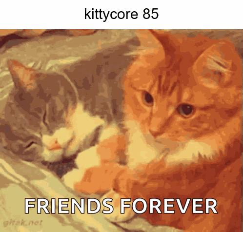 Two Cats Laying Together Friends Forever GIF