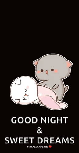 Two Cats Laying Together Good Night Sweet Dreams