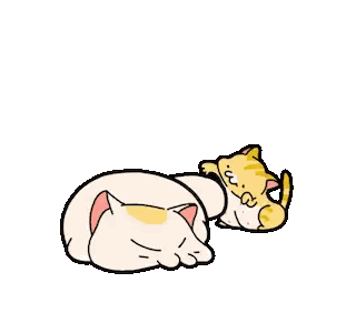 Two Cats Laying Together