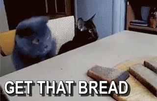 Two Cats Looking At A Table With The Words Get That Bread Below Them GIF