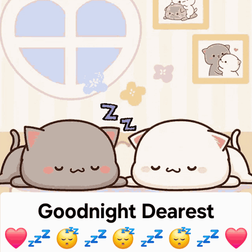Two Cats Lying Next to Each Other Goodnight Dearest