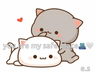 Two Cats Lying Next to Each Other