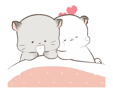 Two Cats Lying on Bed