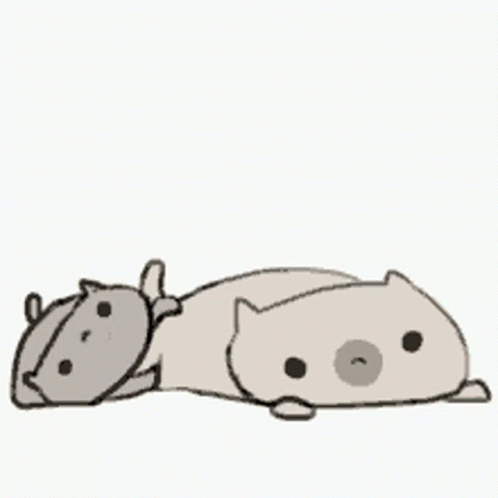 Two Cats Lying Together
