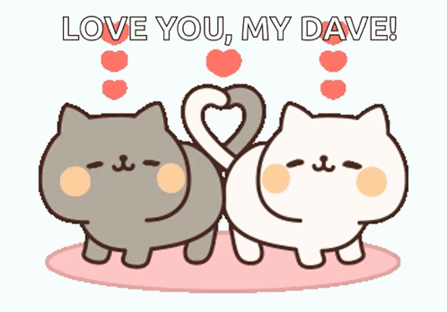Two Cats Making Heart Shape Love You My Dave GIF