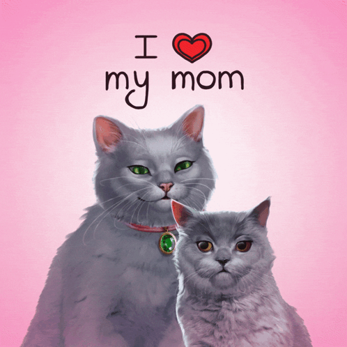 Two Cats On A Pink Background With The Words " I Love My Mom " Above Them GIF