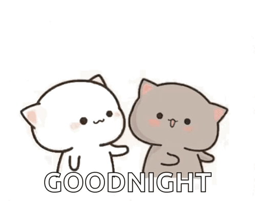 Two Cats One Petting Face GIF