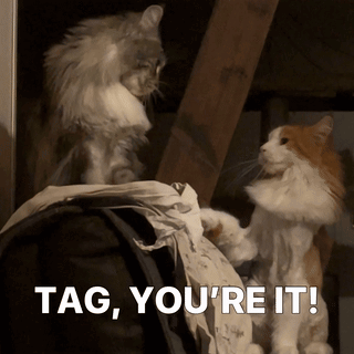 Two Cats Playing With A Piece Of Paper With The Words Tag You 'Re It Below Them GIF