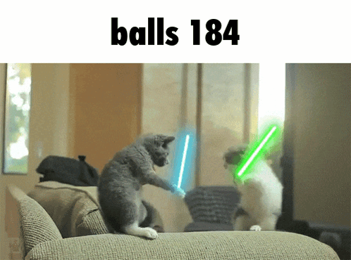 Two Cats Playing With Lightsabers