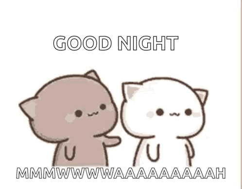 Two Cats Saying Good Night