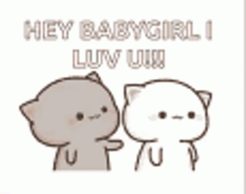 Two Cats Saying Hey Babygirl I Luv You GIF