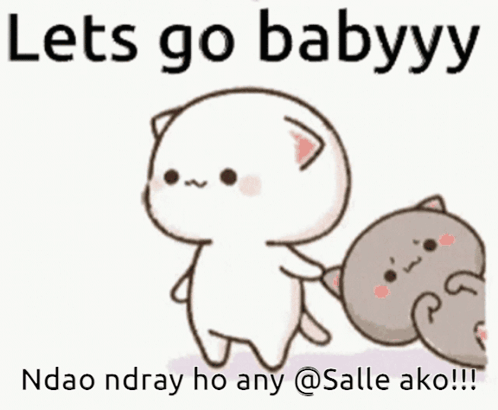 Two Cats Saying Let's Go Babyyy Ndao Ndray Ho Any @Salle Ako !!!