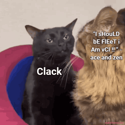 Two Cats Side By Side Saying Clack GIF