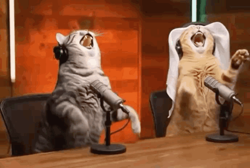 Two Cats Singing Into Microphones