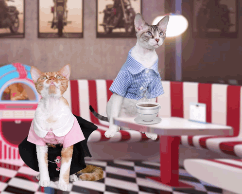 Two Cats Sitting At Diner Table With Coffee GIF