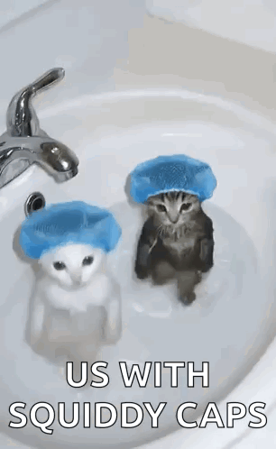 Two Cats Sitting In Sink Wearing Squiddy Caps GIF