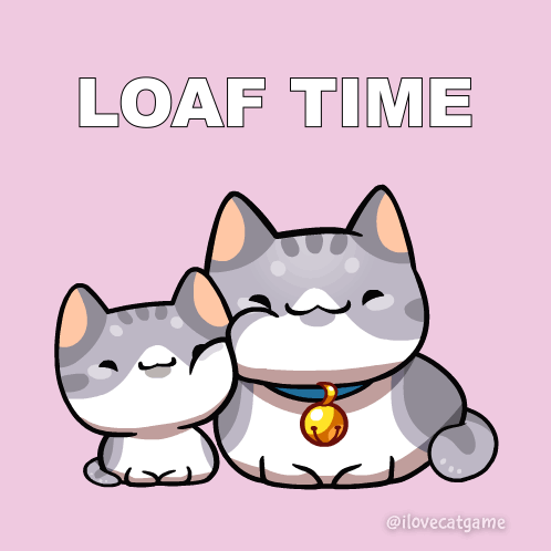 Two Cats Sitting Together Loaf Time