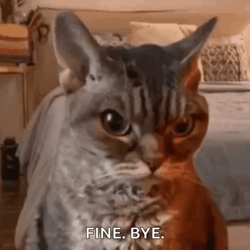 Two Cats Sitting Together One Saying Fine Bye