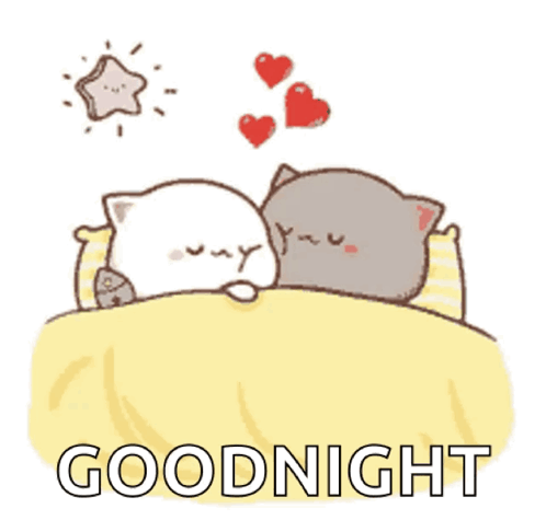 Two Cats Sleeping Goodnight GIF