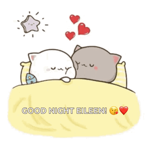 Two Cats Sleeping in Bed with Hearts and Good Night Eileen