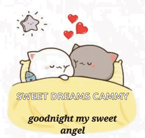 Two Cats Sleeping in Bed With Hearts and Star