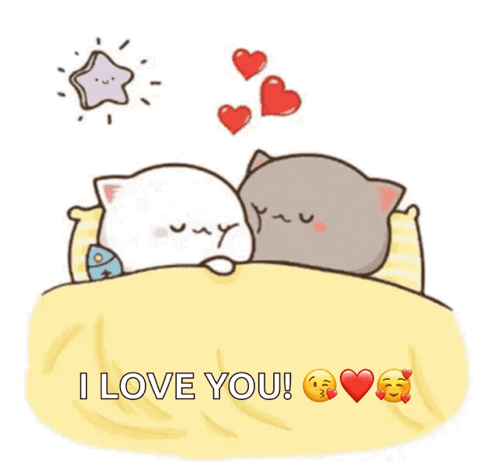 Two Cats Sleeping in Bed With Hearts