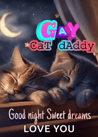 Two Cats Sleeping On A Window Sill With The Words " Good Night Sweet Dreams Love You " Below Them GIF