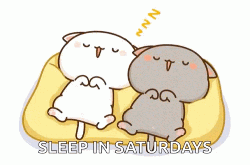Two Cats Sleeping on Couch Saying Sleep in Saturdays