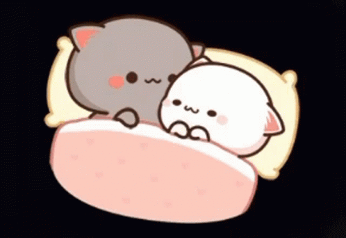 Two Cats Sleeping on Pink Blanket