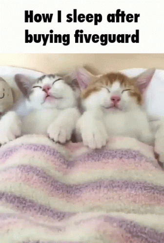 Two Cats Sleeping Under A Striped Blanket With The Words How I Sleep After Buying Fiveguard Above Them GIF