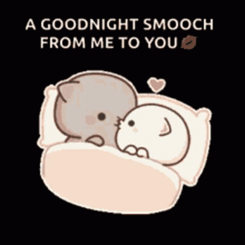 Two Cats Sleeping Under Goodnight Smooch From Me To You GIF