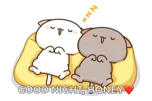 Two Cats Sleeping With Good Night Honey