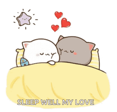 Two Cats Sleeping With Hearts And Sleep Well My Love GIF