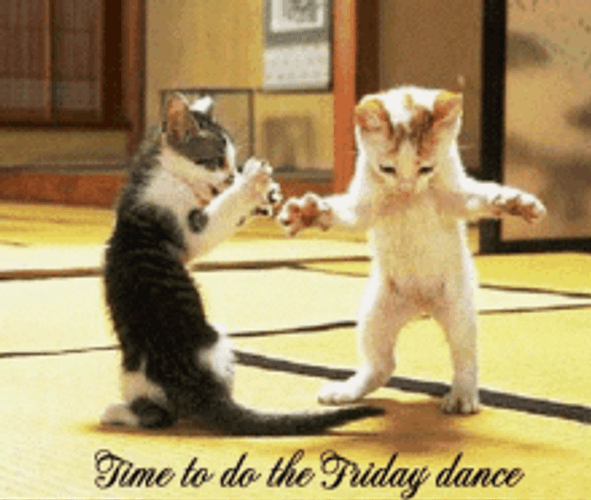 Two Cats Standing Happy Friday Dance GIF