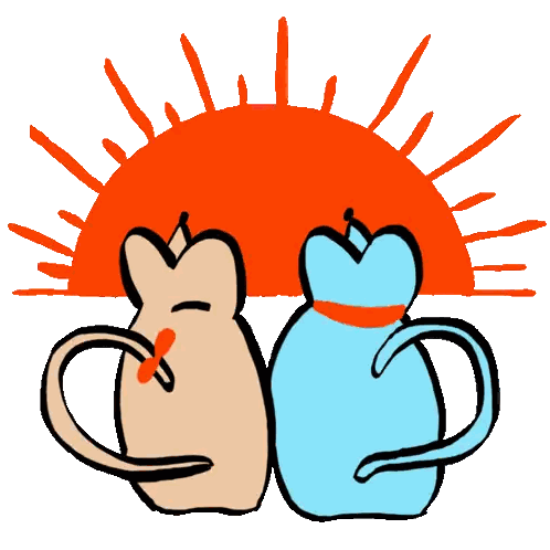 Two Cats Standing Sun
