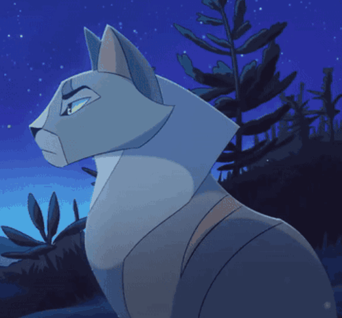 Two Cats Standing Together