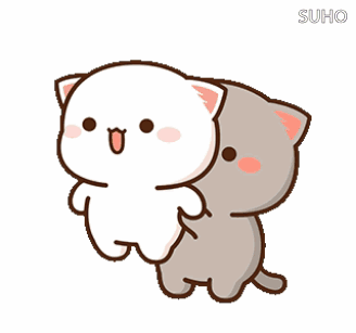 Two Cats Standing Together