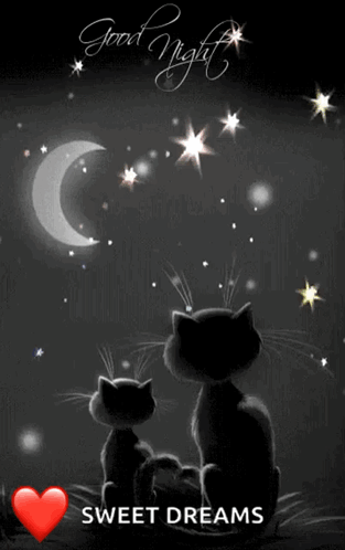 Two Cats Under Crescent Moon Good Night Sweet Dreams