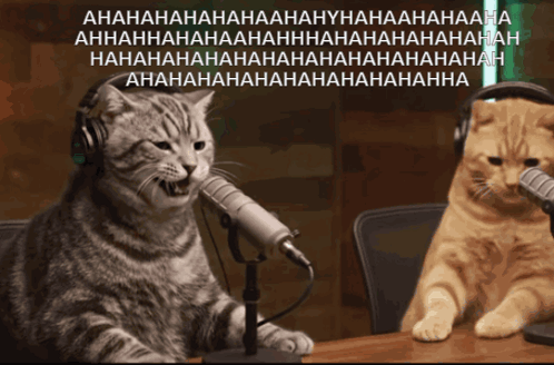 Two Cats Wearing Headphones
