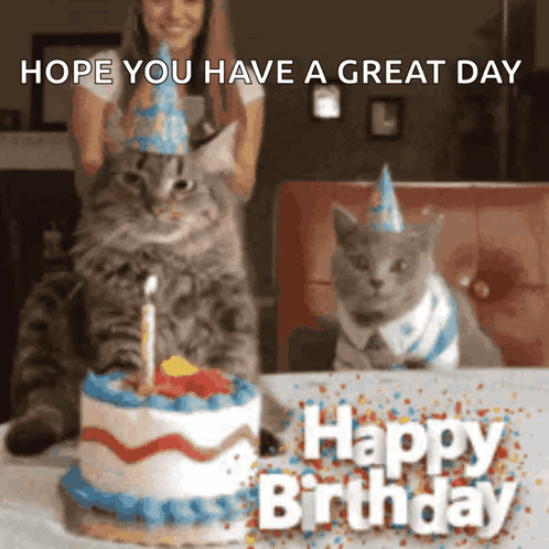 Two Cats Wearing Party Hats By Cake GIF