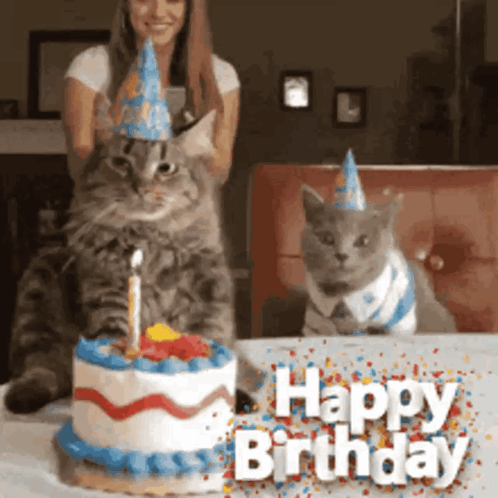Two Cats Wearing Party Hats Are Sitting Next To A Birthday Cake That Says Happy Birthday GIF