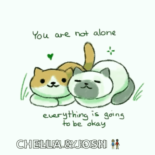 Two Cats With You Are Not Alone