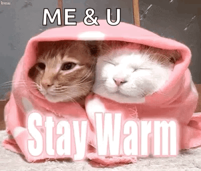 Two Cats Wrapped In A Pink Blanket With The Words `` Me & U Stay Warm '' Written Above Them . GIF