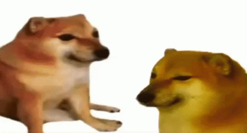 Two Cheems Dogs Are Sitting Next To Each Other And Looking At Each Other . GIF