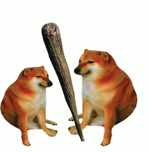 Two Cheetah Dogs Sitting Next To Each Other With A Wooden Bat GIF