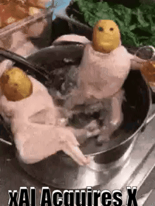 two chickens are sitting in a pot of water with a face on their heads .