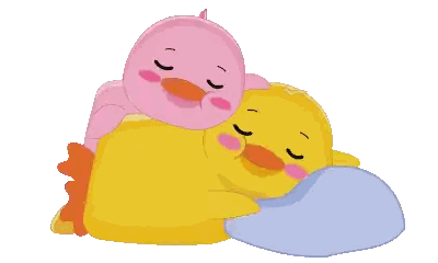 Two Chickens Sleeping on Blanket