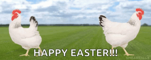 Two Chickens Standing in Field Happy Easter