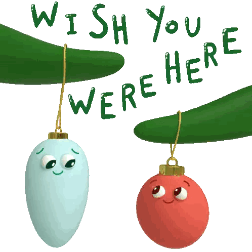 Two Christmas Ornaments on Tree Branch Wish You Were Here
