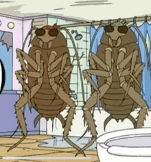 Two Cockroaches Are Standing In A Bathroom Near A Toilet GIF